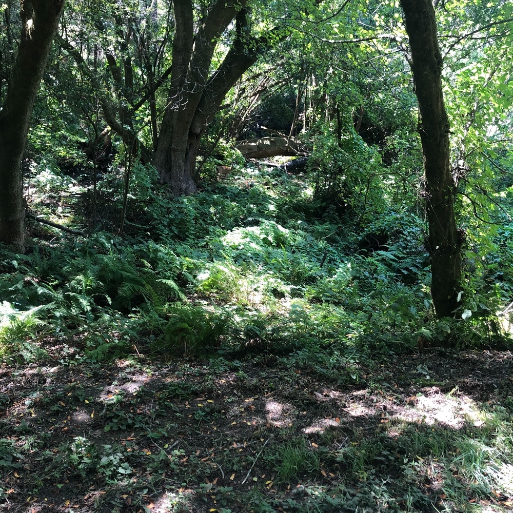 Meet your Posher, Kandace